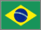Brazil Consortium Logo