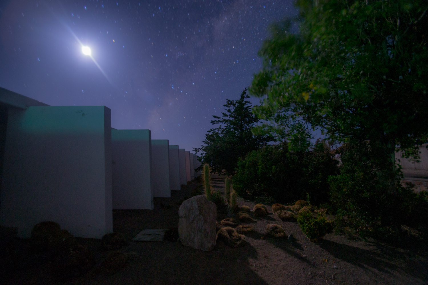 ctio-9717_20130205